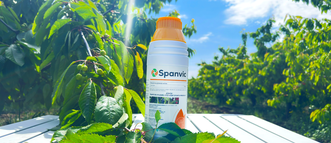 bioprotect-news