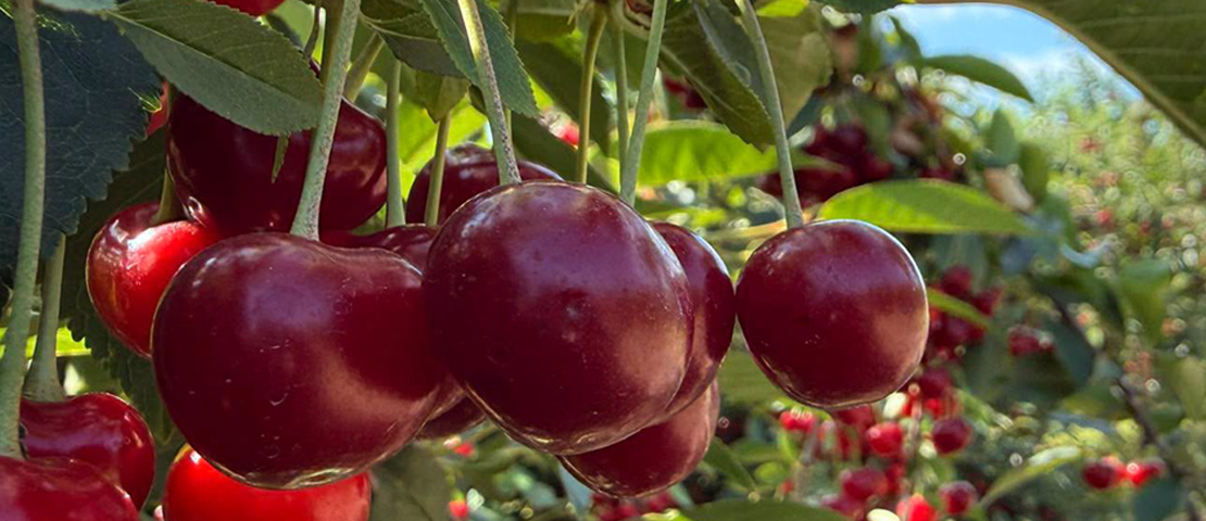 bioprotect-news